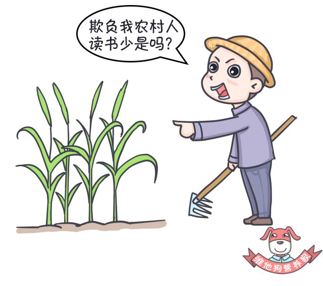 足贴、清肠丸、大麦若叶真的有效吗？揭秘朋友圈9大排毒网红