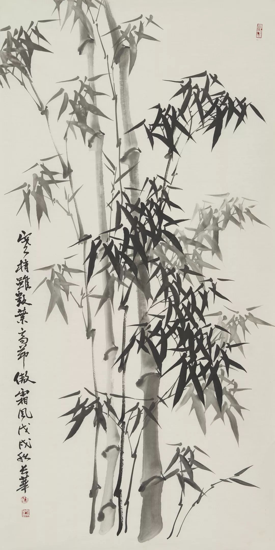 艺术长安：竹之韵一一仇长华墨竹网展