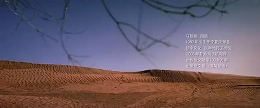 蚂蚁金服都包括哪些,蚂蚁金服的优势特点