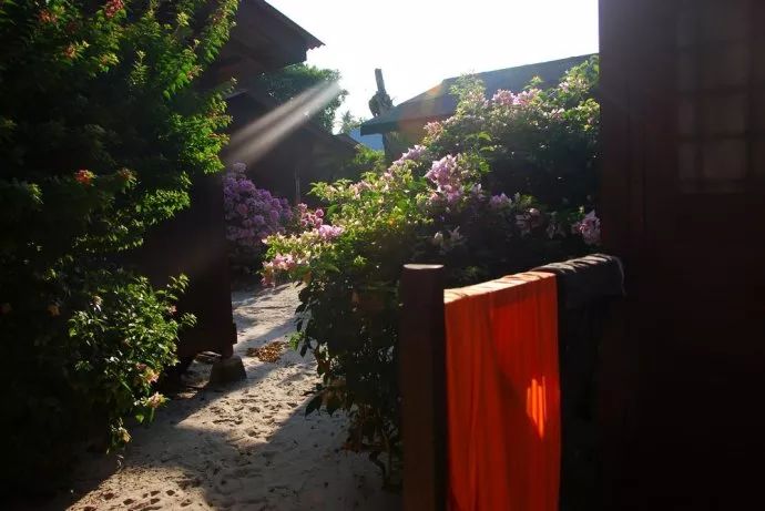 李茶的姑妈海景大别墅,李茶的姑妈在马来西亚