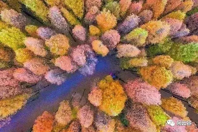 关于秋天的30首经典诗词,60首最经典描写秋天的诗词