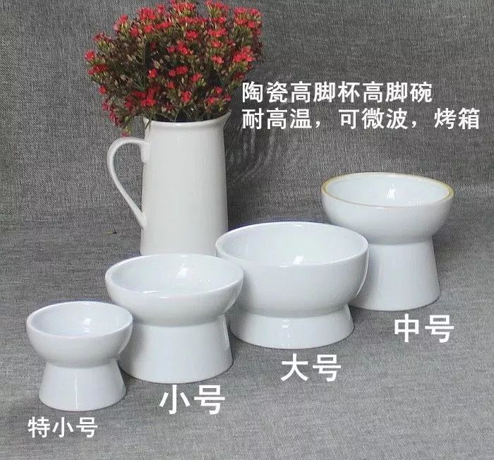 哈哈哈哈哈哈哈哈这届猫奴的智商有点高！