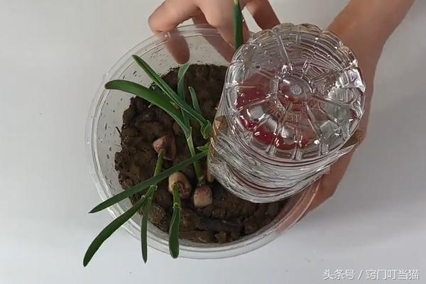 塑料瓶上绑3根筷子，绑一次能用7天，解决了你出门旅游的烦恼！