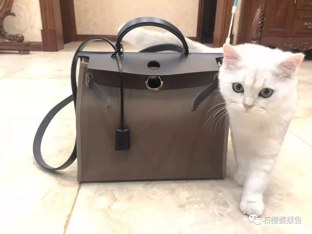 包包价格比价,celine马鞍包全球比价