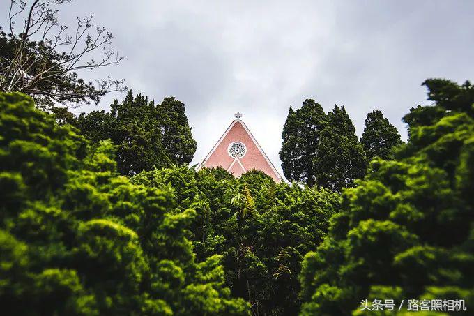 铚傞娓歌,鑺藉簞铚傞娓歌