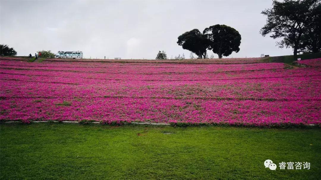 睿富文旅｜为纪念母亲和发展日本畜牧业而建的MotherFarm