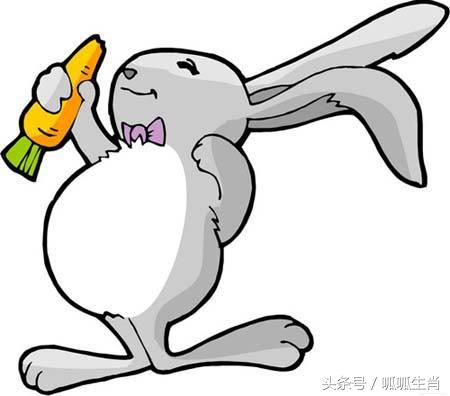 丑牛和什么生肖最好,十二生肖和什么生肖不合财