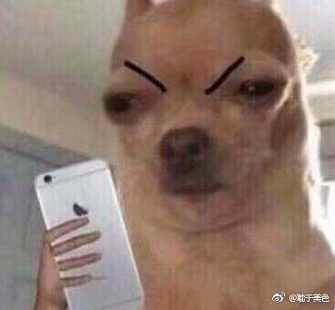 欧美段式眼影推荐,平价好用开价的眼影