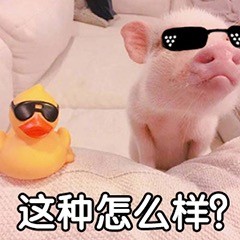 欧美段式眼影推荐,平价好用开价的眼影