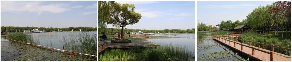 体育公园建设项目实施方案,体育公园规划设计方案