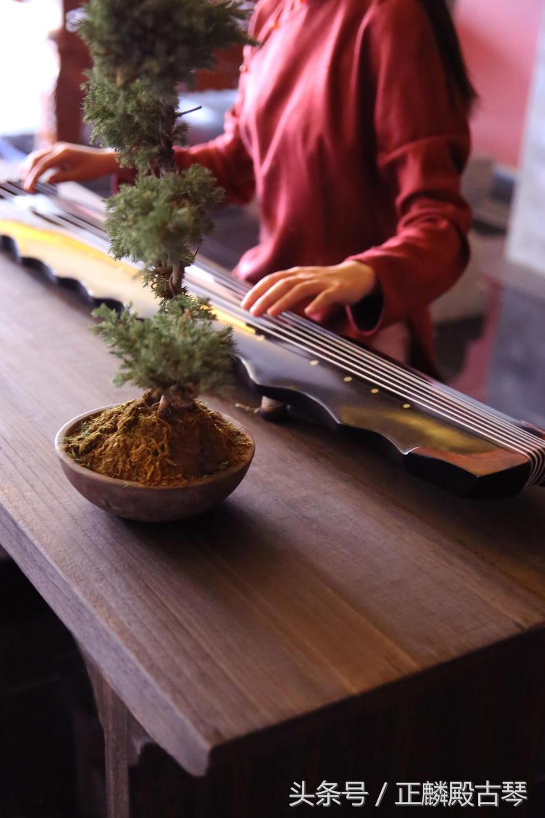 买古琴时如何选择一把好琴,买古琴主要看什么