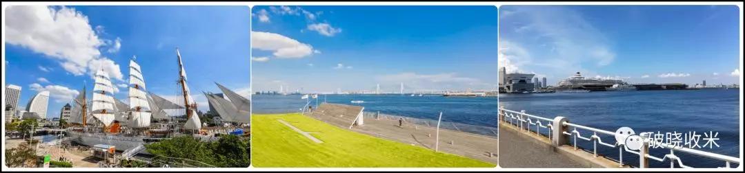 日职联水手,2024日职联球队巡礼横滨水手