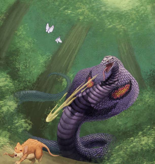 《精灵宝可梦》怎么看精灵品质,精灵宝可梦小精灵