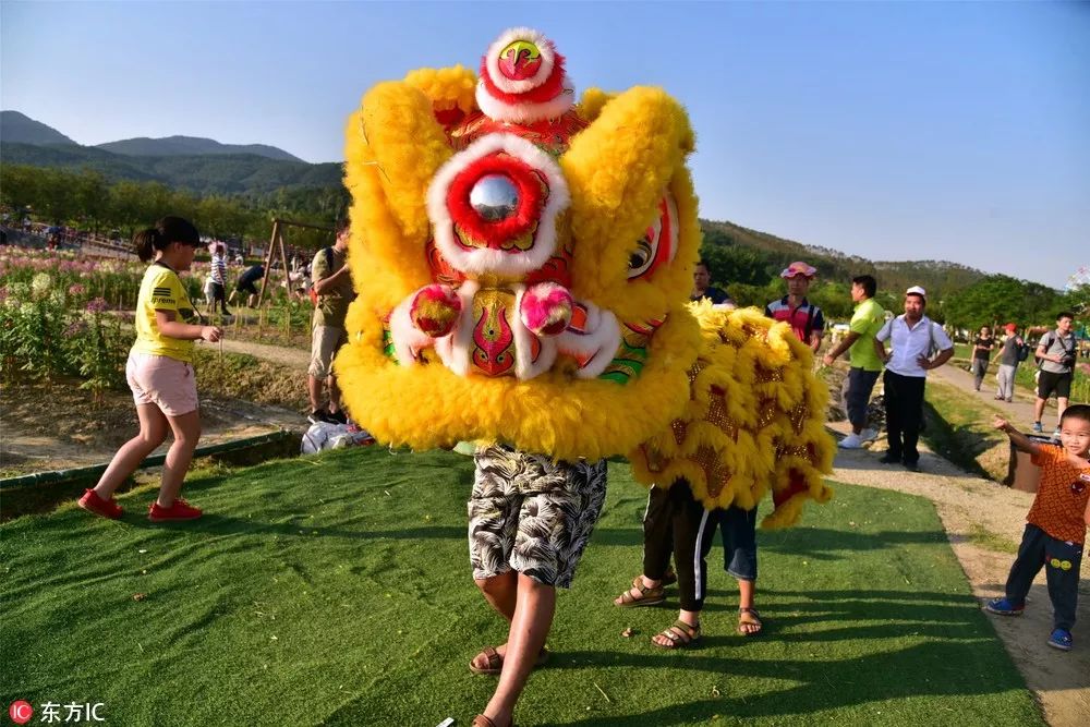 十一你们都去哪里玩了,十一大家都去哪玩了