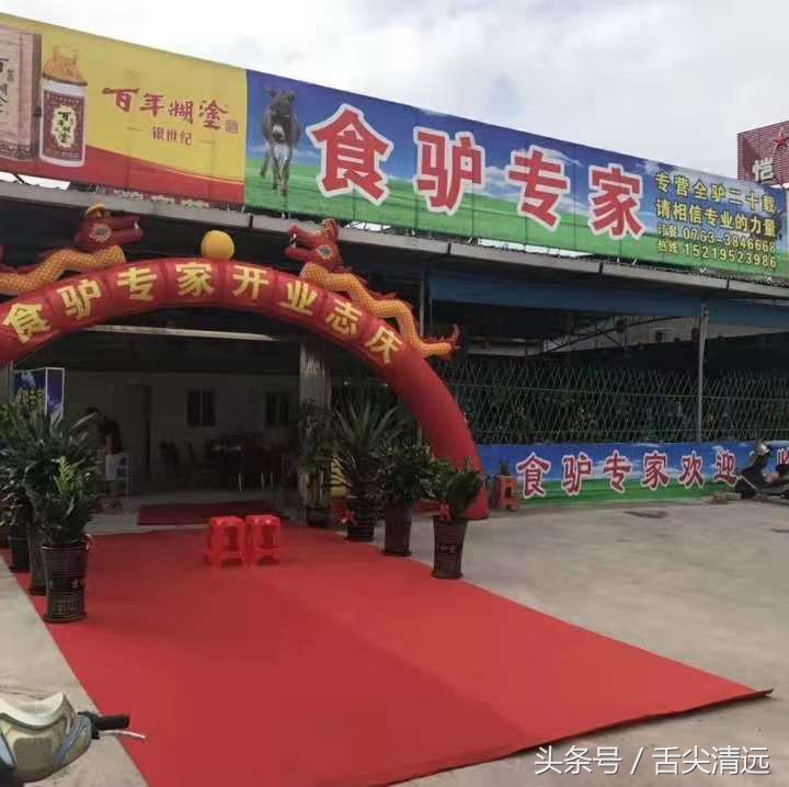 记得暴龙哥那两只驴仔吗?来清远了,人们都到这排队宠幸,爆场!