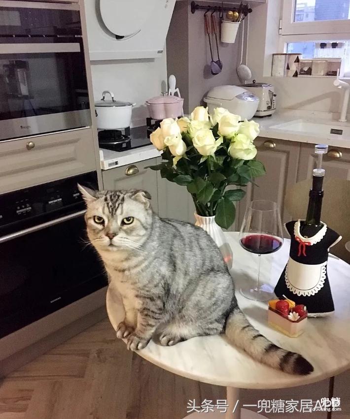 适合学生党的马卡龙色系,马卡龙小清新色系