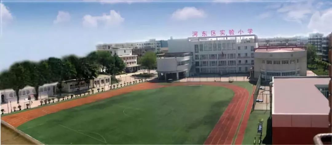 天津津南区私立小学排名一览表,天津市前十名小学名单