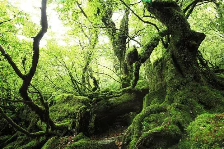 东京和北海道哪里旅游好一点,东京和北海道哪里旅游便宜