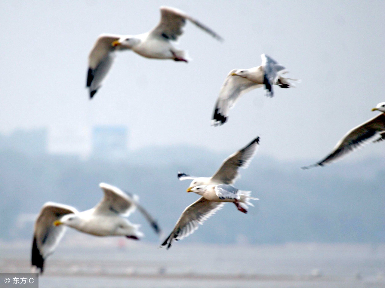 努力：Lifewillnevermaltreateverypersonwhoworkshard.