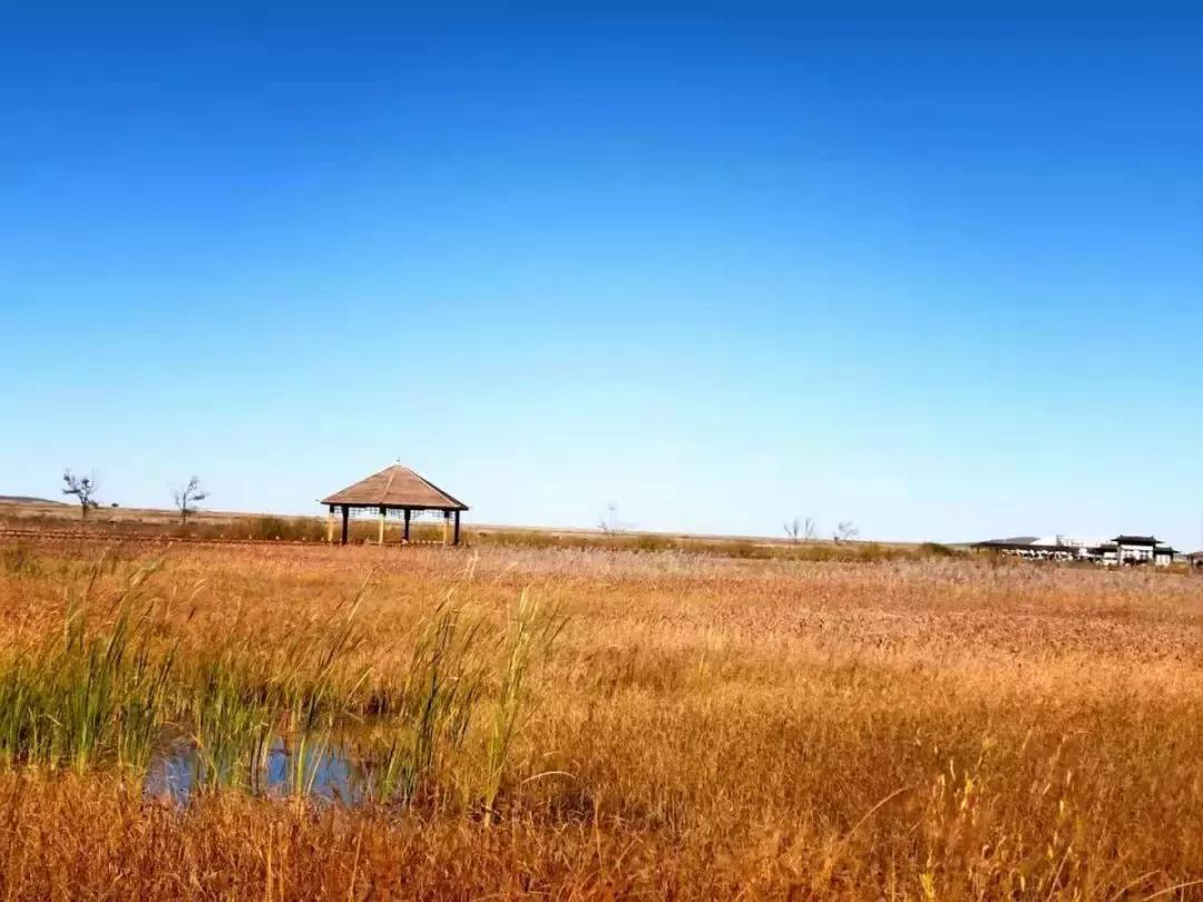 散文深秋的感悟,散文深秋时光