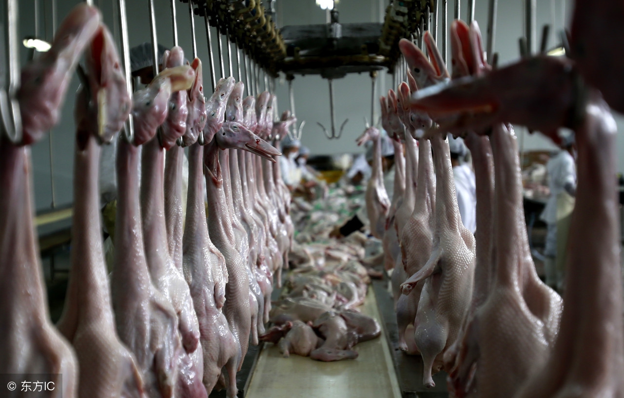 湖北武汉的正宗周黑鸭,武汉周黑鸭哪家店最正宗