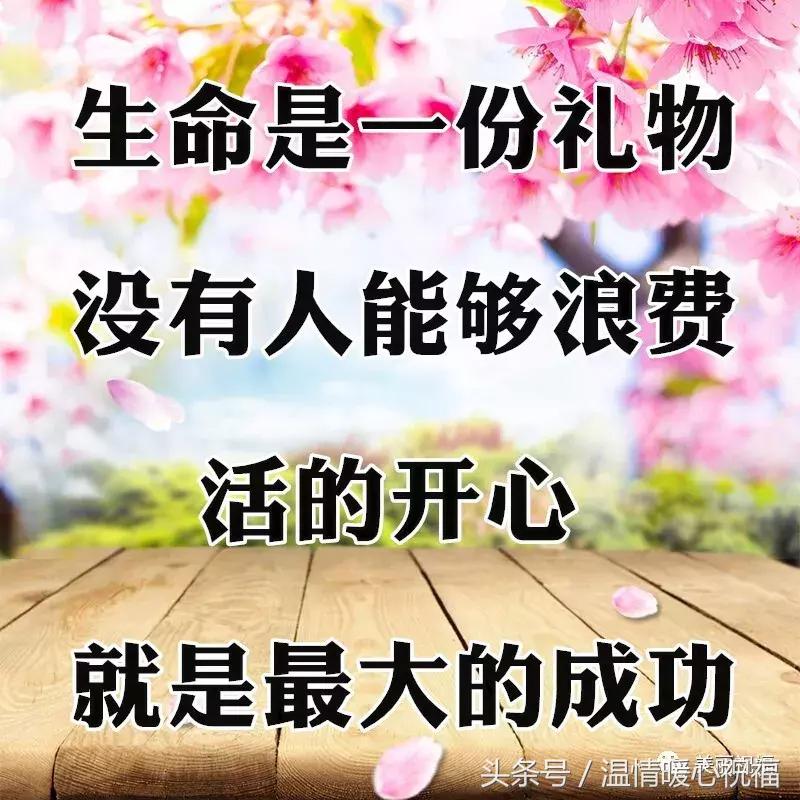 10张会动的照片,11张会动的图片