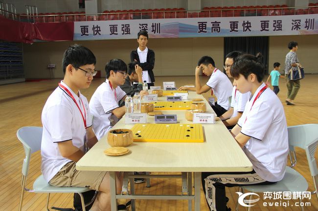 大湾区青少年围棋大赛,粤港澳大湾区围棋联赛