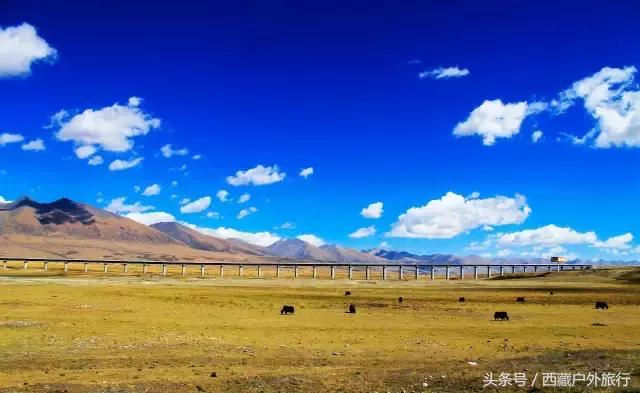 拉萨林芝旅游攻略最新四天三夜,拉萨旅游攻略超详细
