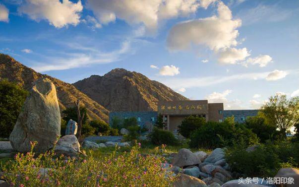 洛阳机场客流,2019年洛阳机场客流