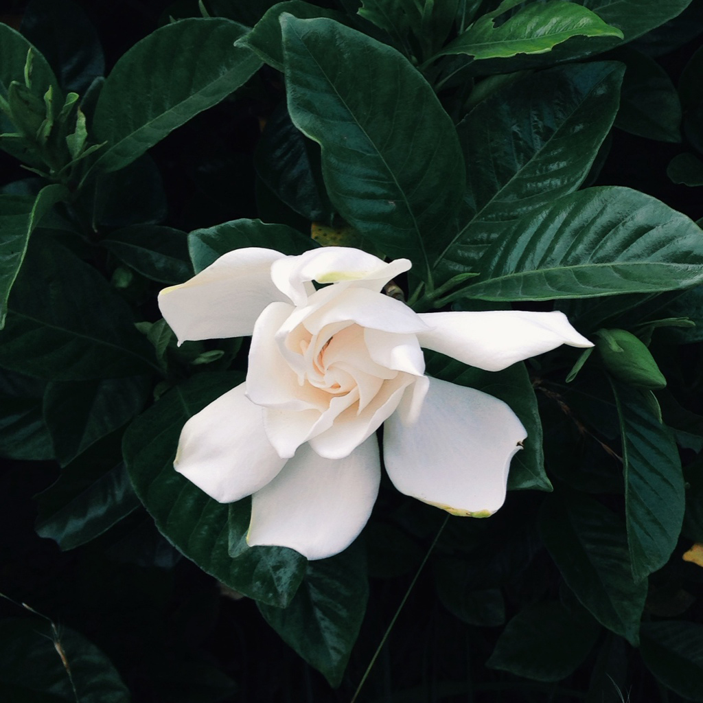 微信相册封面有趣沙雕,微信相册封面有什么讲究吗