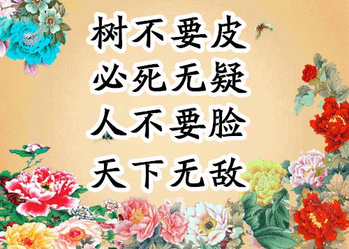 会动的图片21张太美了,会动的风景图片大全