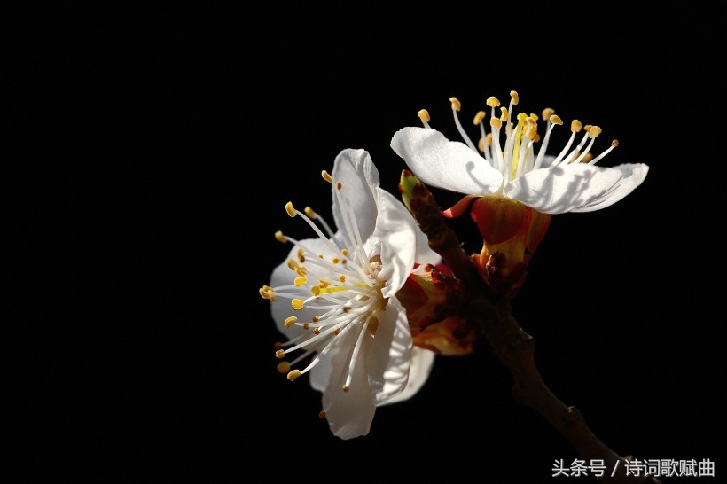 南怀瑾一切修行皆在修心,南怀瑾人生哲理经典语录