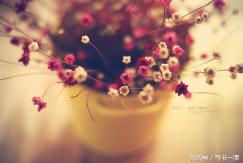 七月与安生作者安妮宝贝,读安妮宝贝《七月与安生》有感