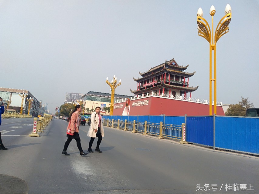 银川人民广场西门口,银川人民广场梧桐树