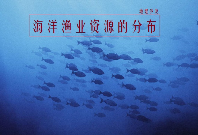 海洋渔业主要分布在我国什么地区,我国海洋渔业资源具有哪些特点