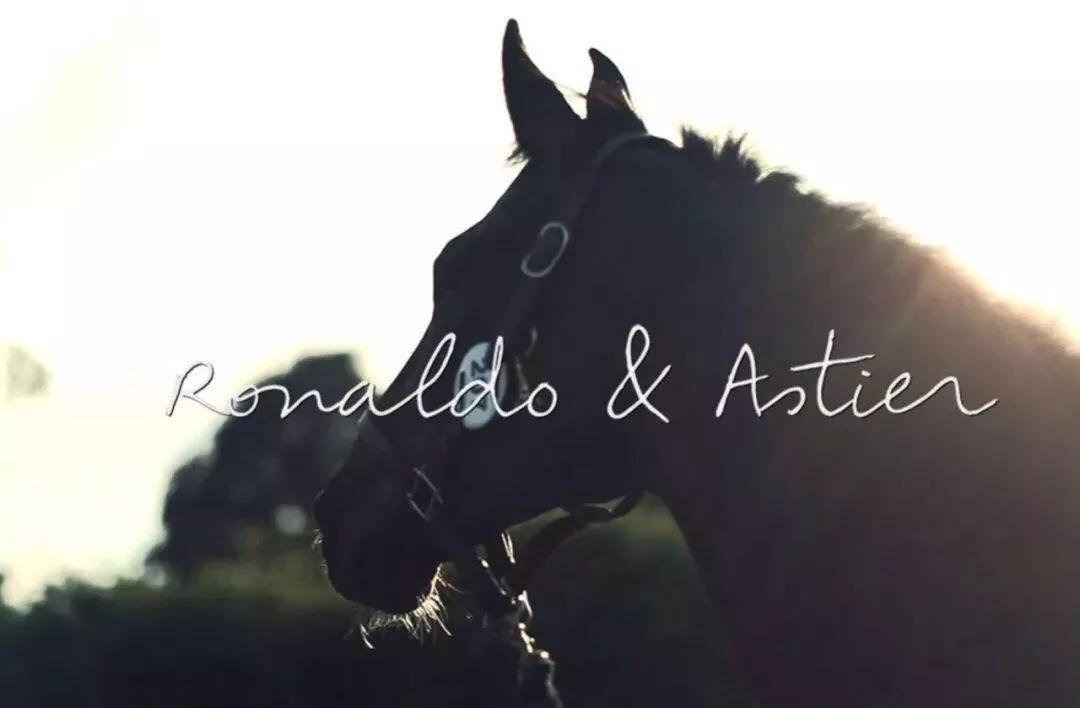 王妃的包”皇室专用的旅行箱”梦露的鞋”成为经典并非偶然！