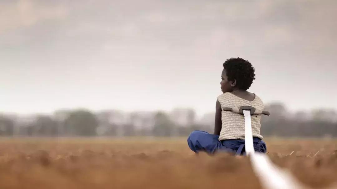 申奥片推荐,各国申奥影片产生