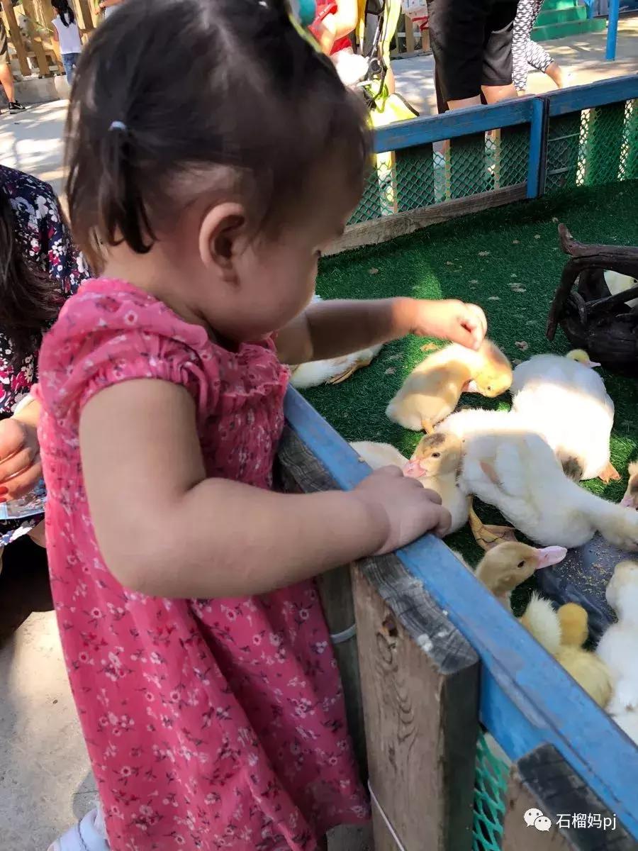 骞垮窞闀块殕椋為笩涔愬洯绁ㄤ环,闀块殕椋為笩涔愬洯灏忓绁ㄤ环