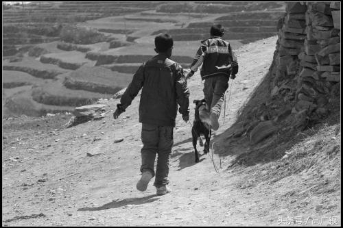 为什么提升认知这么难,为什么学不会认知