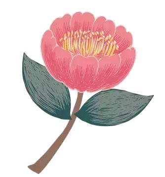 「冬令营」醉美云南·漫步丽江——浩然动力心理成长游学营