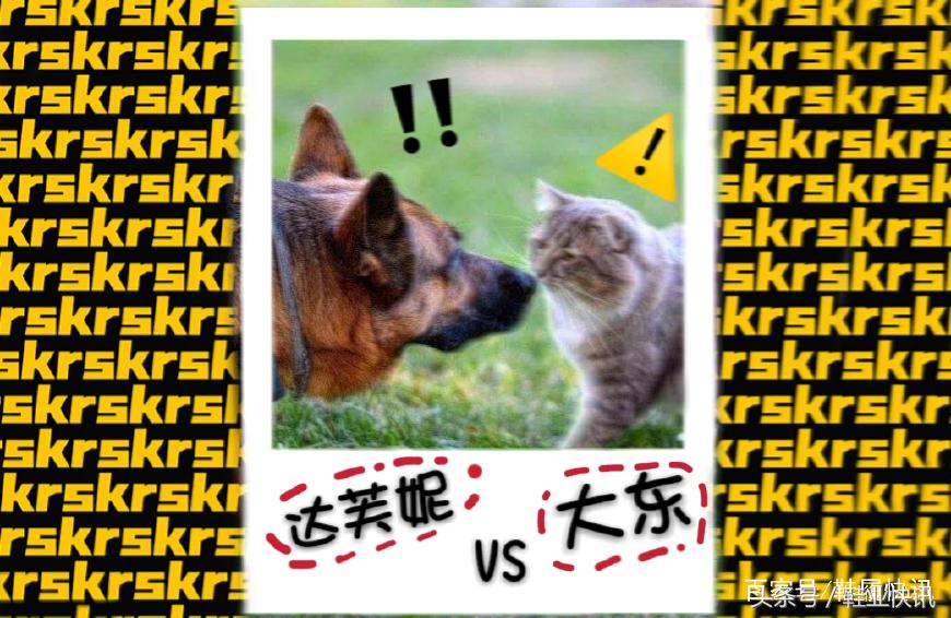 大东阻止终极一班救万钧,大东挡住辜战