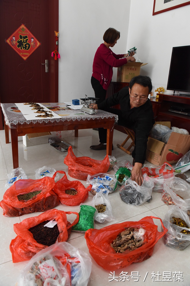 爱你永不放弃电视剧免费观看,爱你永不放弃电视连续剧