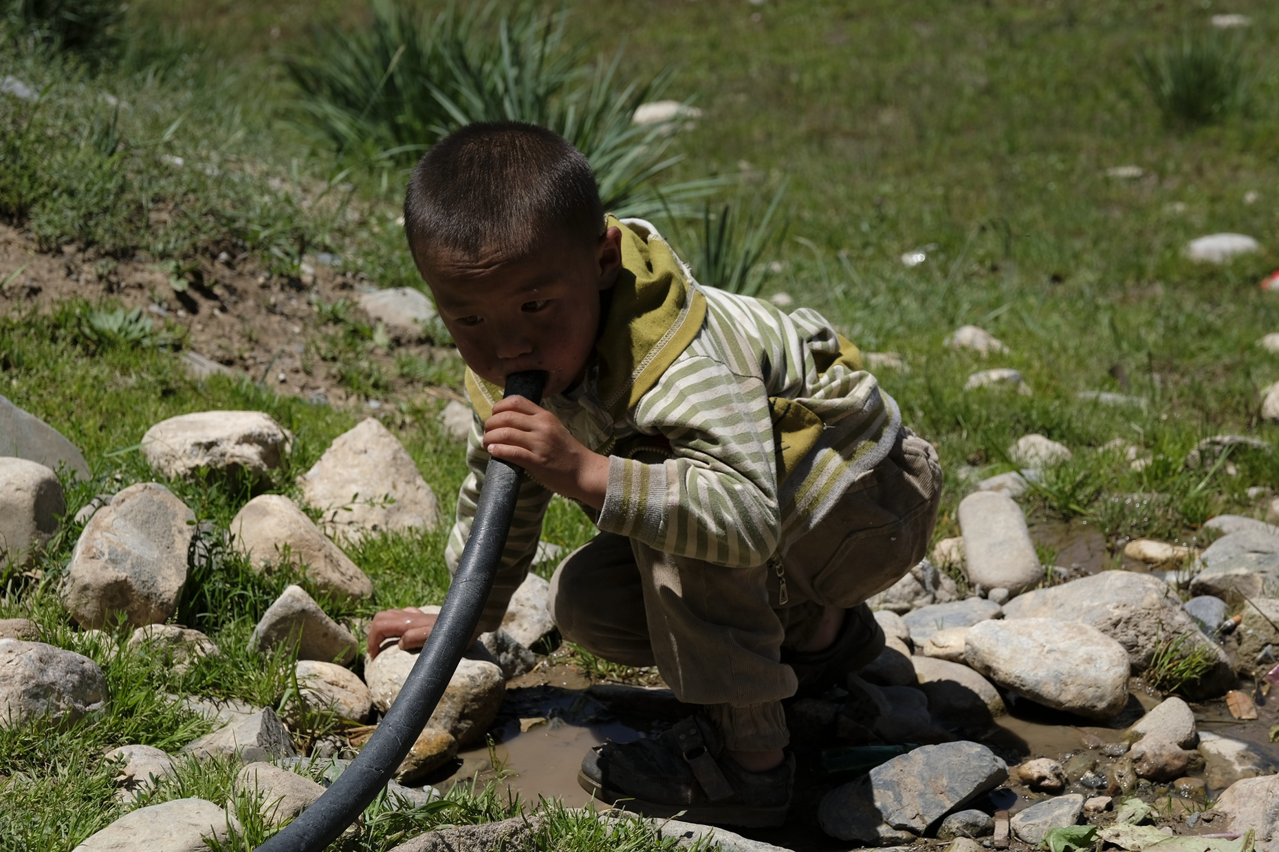 国足的希望在西藏和新疆吗,国足的希望在新疆