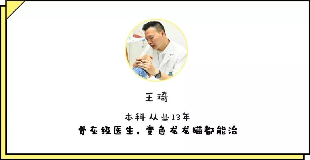 宠物皮肤病科普和治疗,宠物医生奇葩问题