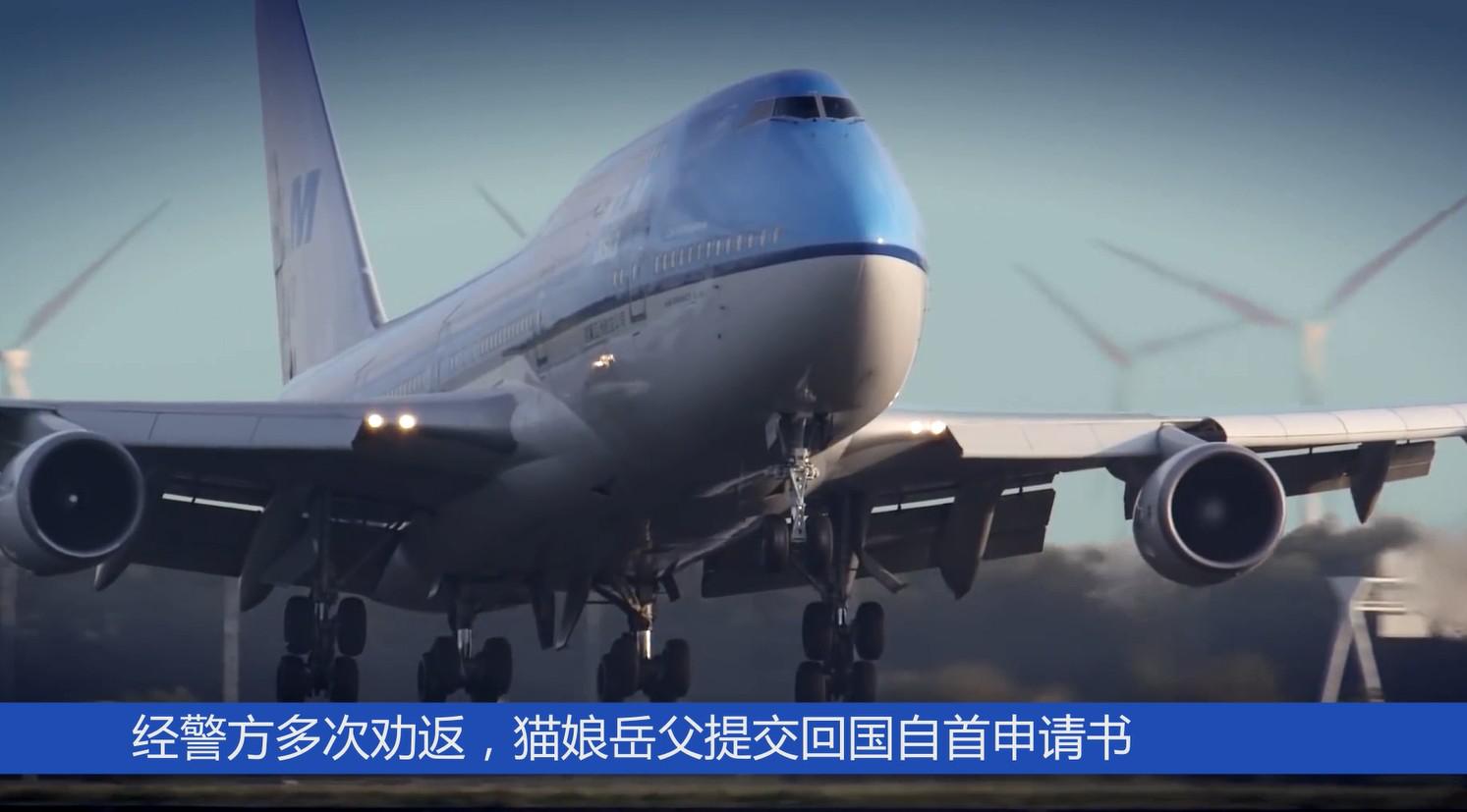 日收入八百多万网红,日赚9000元网红