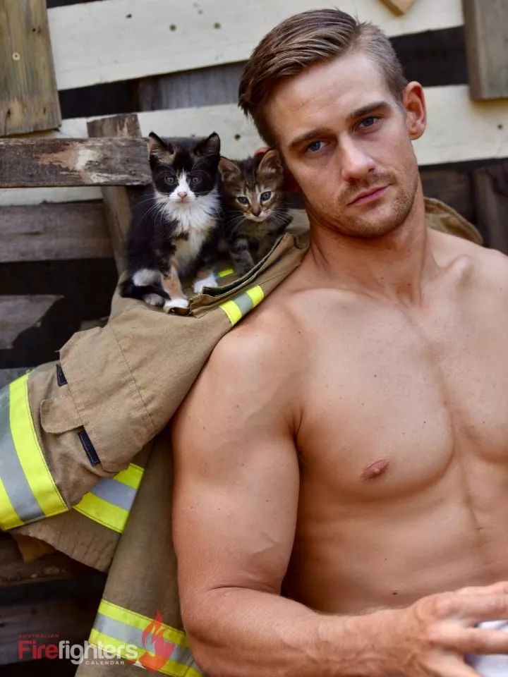 一组热到爆的猫片，对不起我要流鼻血了……