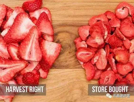 狗狗宠物冻干粮,宠物狗冻干粮