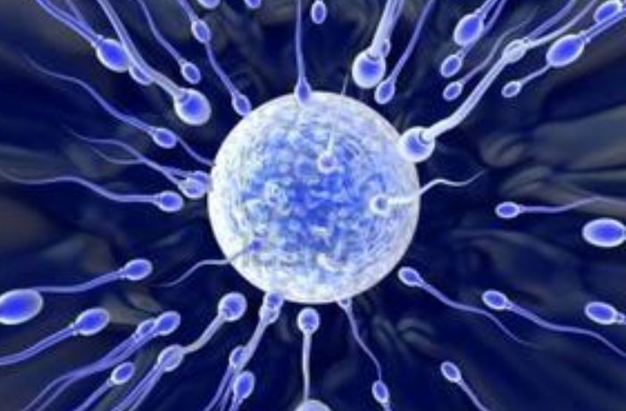 男人“生育能力”好不好？看这3个方面或许就能知道，别不好意思