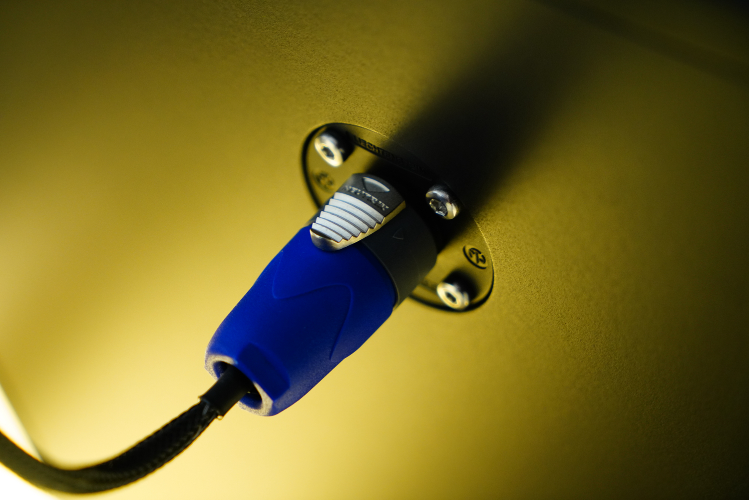 如美玉,德国dynamikks音箱