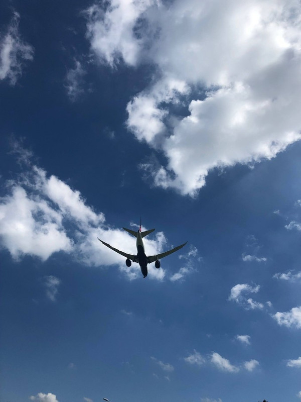 三亚独行攻略,三亚必去的景点和美食